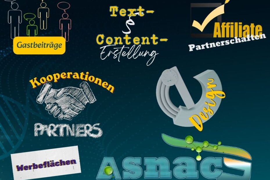 Kooperationen und Partnerschaften mit asnacE